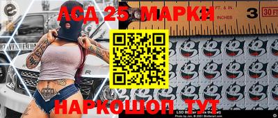 гидра Моздок