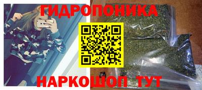 гидра Моздок