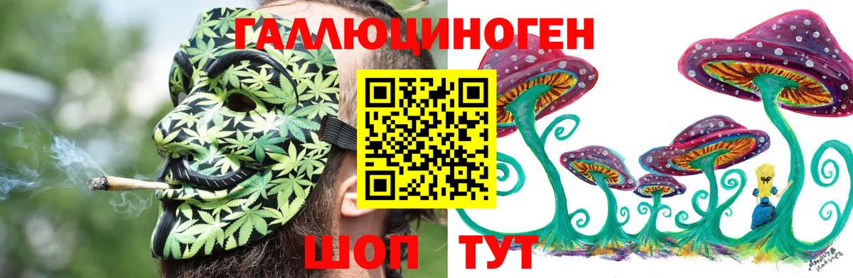 Галлюциногенные грибы Psilocybe Сыктывкар